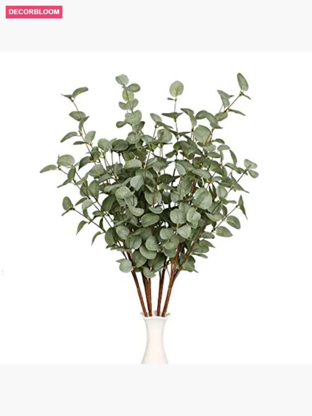 6 Stems 27